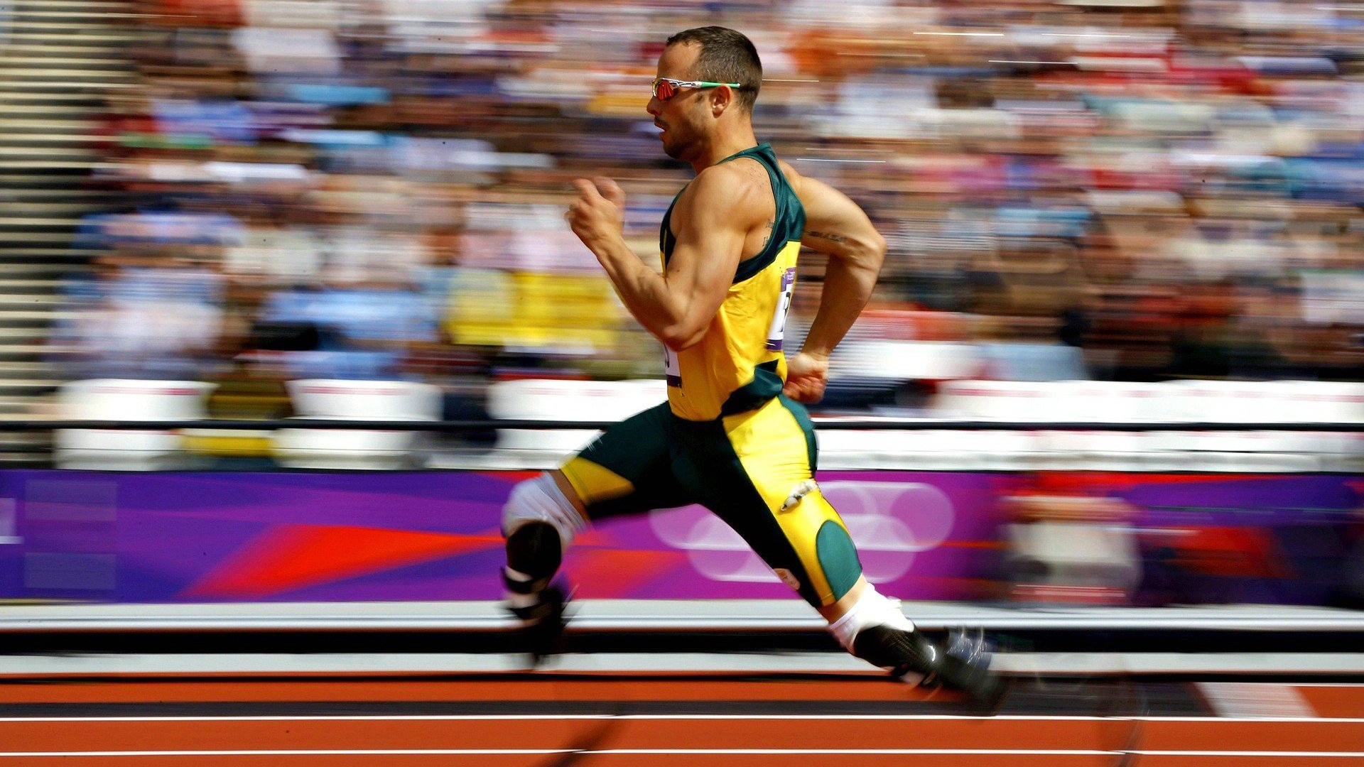 体育文化融入城市更新焕发活力，体育文化建设