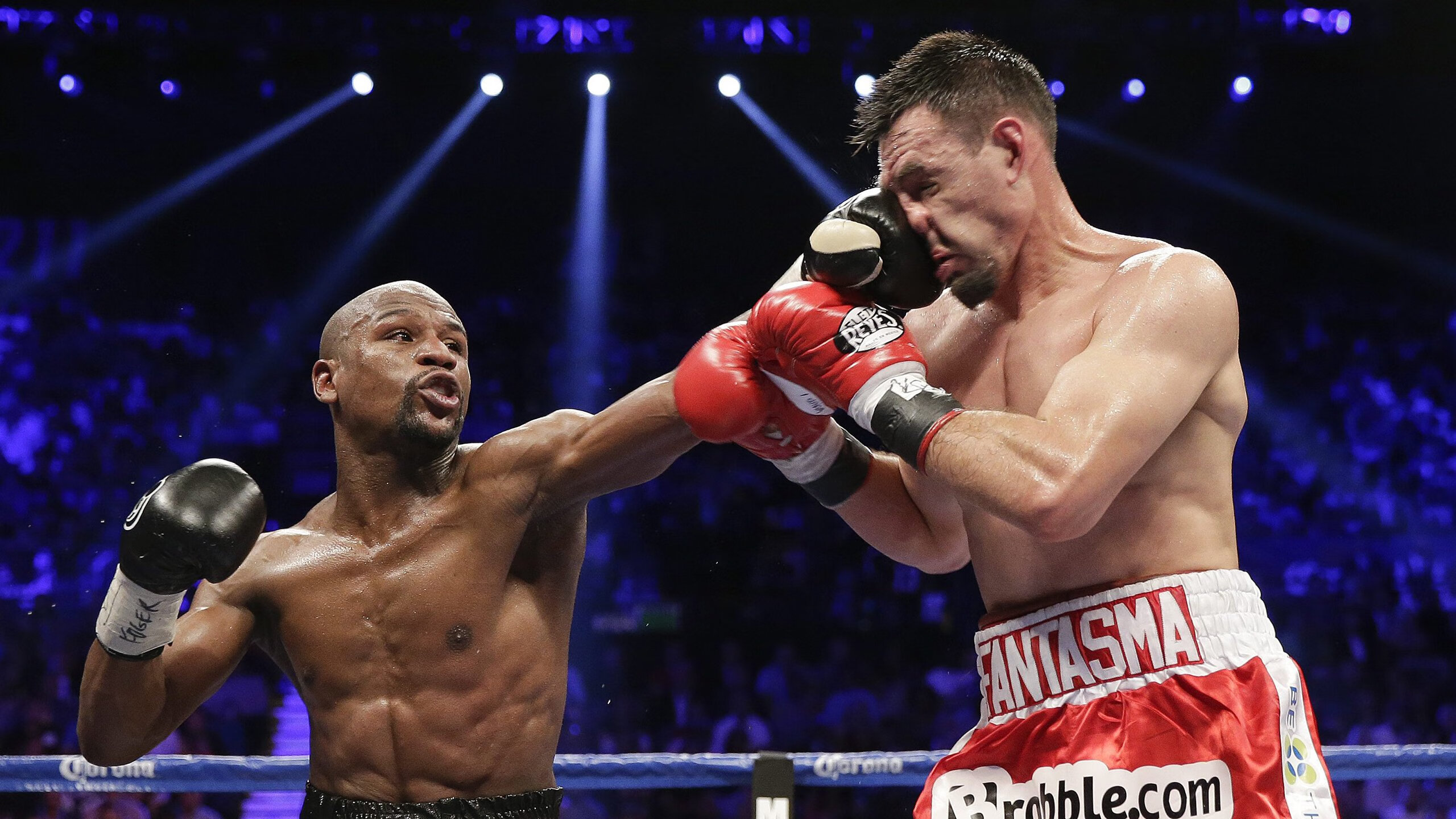 中国足球球员位置多样性对比研究,足球员分布